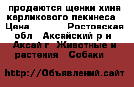  продаются щенки хина-карликового пекинеса › Цена ­ 3 500 - Ростовская обл., Аксайский р-н, Аксай г. Животные и растения » Собаки   